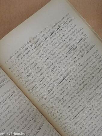 Politikaelméleti alapismeretek