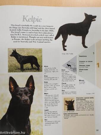 The Royal Canin Dog Encyclopédia