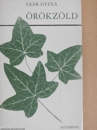 Örökzöld