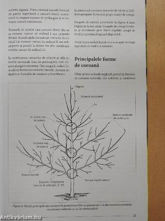 Lucrarile de taiere de la A la Z