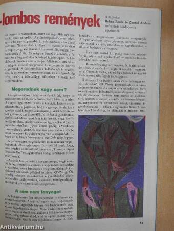 Kisdobos 1980. május