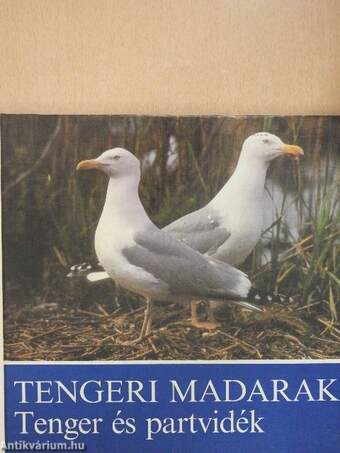 Tengeri madarak