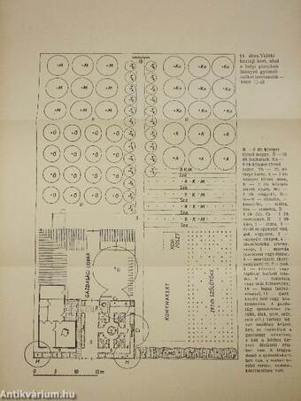 Gyümölcstermesztés a házi és háztáji kertekben