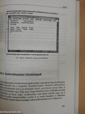 Magyar Windows 3.1