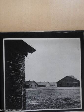 Auschwitz-Birkenau