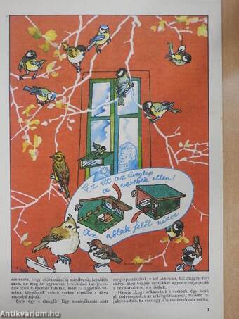 Kisdobos 1975. október