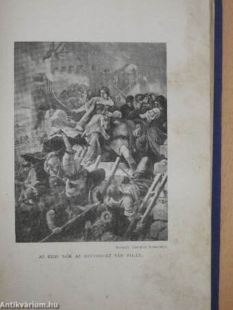 A magyar nemzet története regényes rajzokban II.