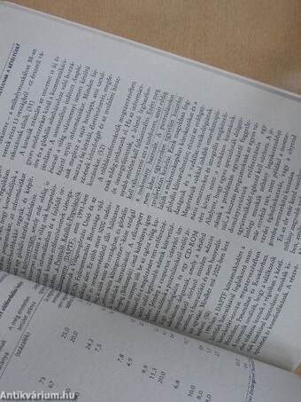 A világ helyzete 2001