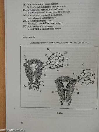 Útmutató a "Felkészülés a családi életre" tantárgy oktatásához