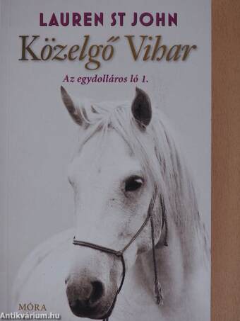 Közelgő Vihar