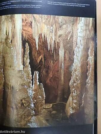 Színes barlangvilág