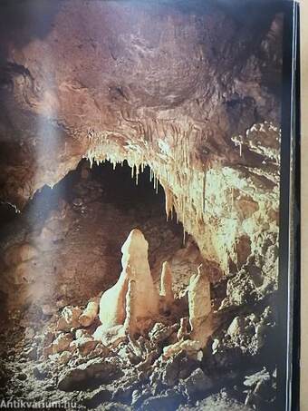 Színes barlangvilág