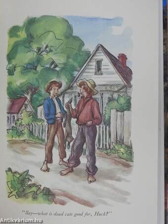 The Adventures of Tom Sawyer