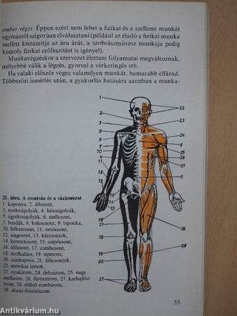 Egészségügyi és munkavédelmi ismeretek I-II.