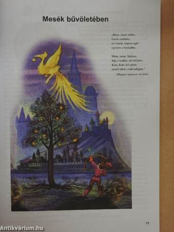 Irodalom 5. Tankönyv