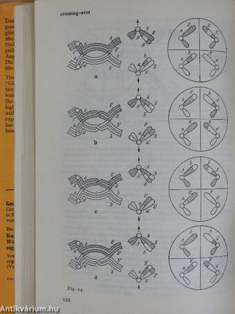 Glossary of Genetics and Cytogenetics