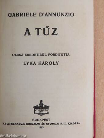 A tűz