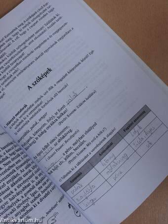 Magyar nyelv és kommunikáció - Munkafüzet a 11. évfolyam számára