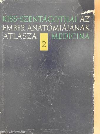 Az ember anatómiájának atlasza 2. (töredék)