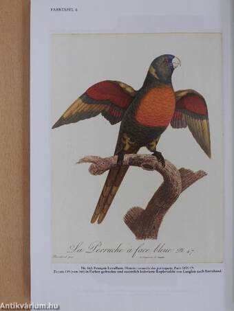 Wertvolle Bücher, Manuskripte, Autographen, Graphik