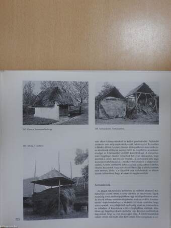 Az építészet története - Őskor - Népi építészet (dedikált példány)