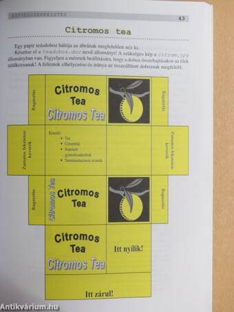 Érettségire felkészítő feladatgyűjtemény - Informatika - CD-vel