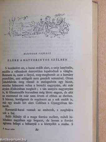 Hazai tükör