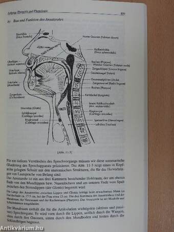 Studienbuch Linguistik