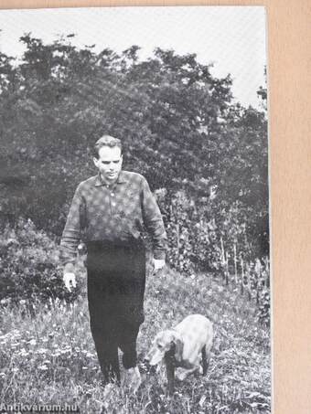 Köszönöm, jól