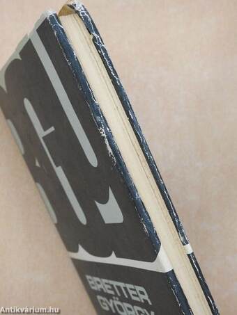 A kortudat kritikája