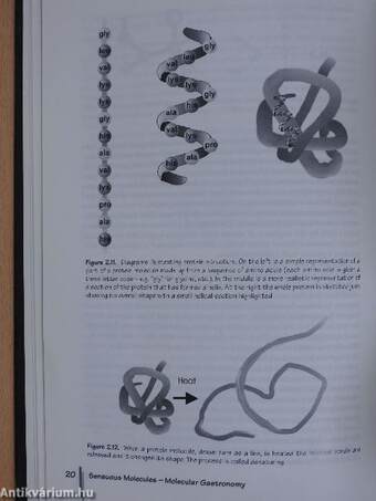 The Science of Cooking