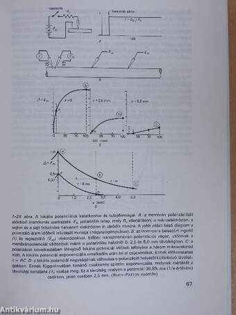 Élettan biológusoknak I. (töredék)