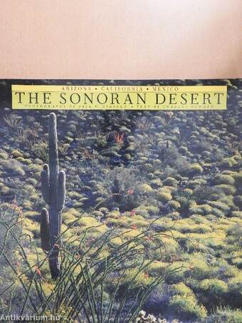 The Sonoran Desert