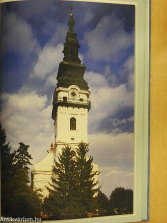 Magyar evangélikus templomok