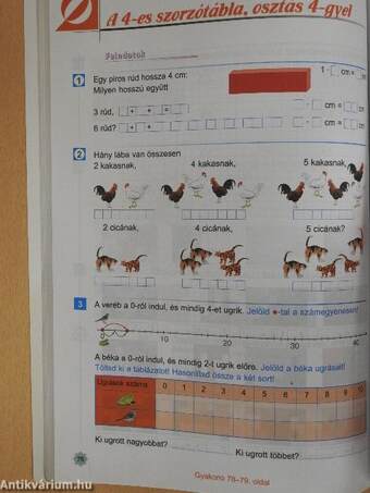 Matematika 2/1./Matematika 2. Gyakorló 1.