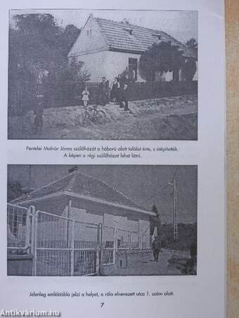 Pentelei Molnár János