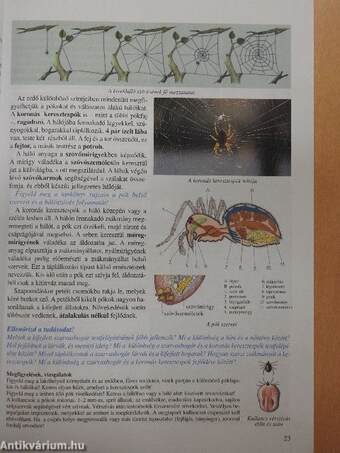 Természetismeret 6.