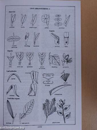 Index of Garden Plants