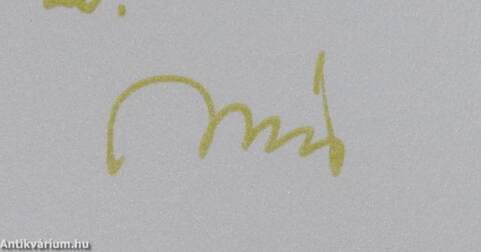 Gyönyörűséges fényeim (dedikált példány)