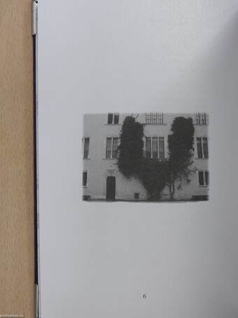 Gyönyörűséges fényeim (dedikált példány)