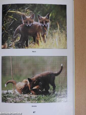 Vadászévkönyv 2002/2003