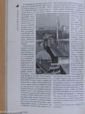 Az irodalom visszavág 1999. nyár