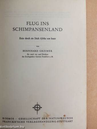 Flug ins Schimpansenland