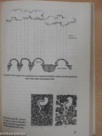 Nagy öröm a kiskert!