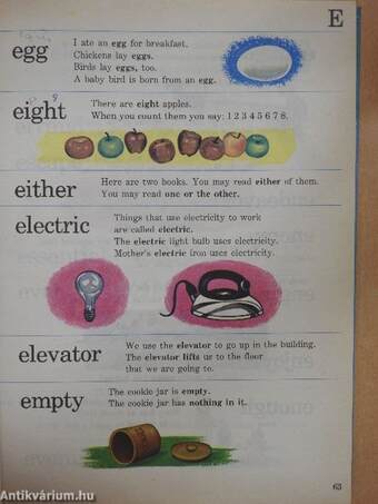 The New Colour-Picture Dictionary for Children