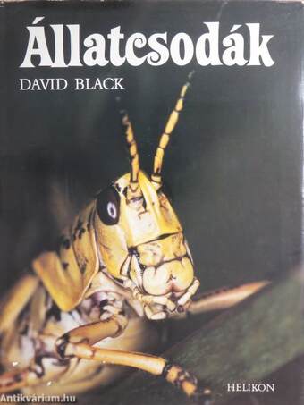 Állatcsodák