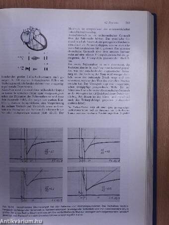 Differentialdiagnose innerer Krankheiten