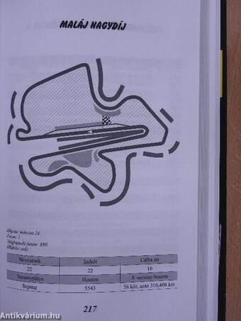 Forma-1 sztorik 2013-2014