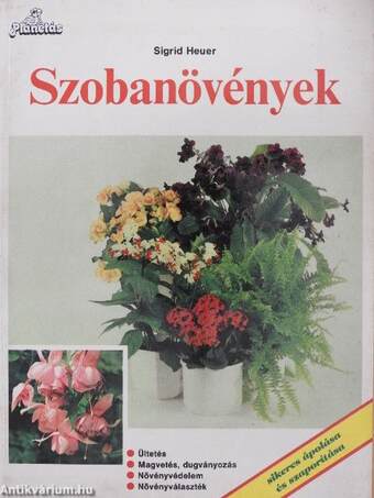 Szobanövények