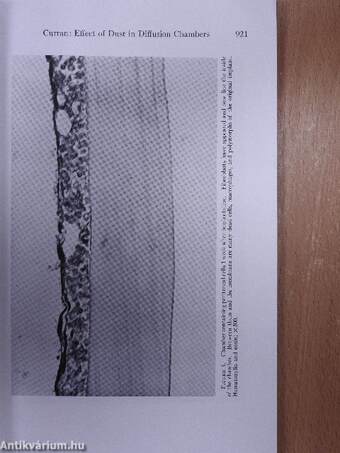 Connective Tissue and Diseases of Connective Tissue